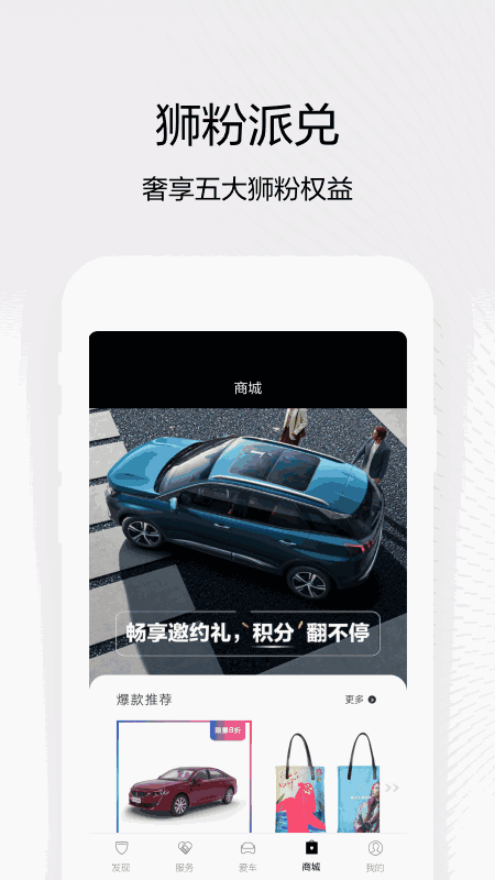 东风标致