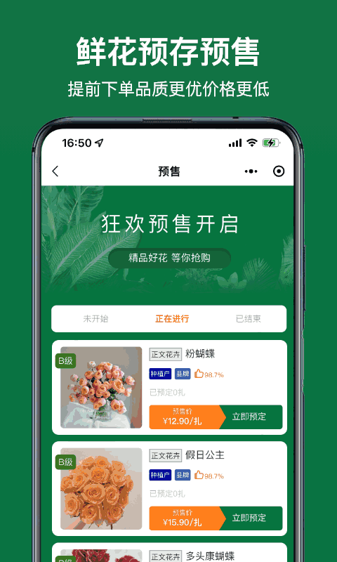 斗南花城