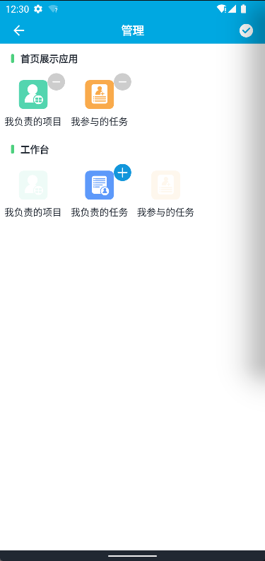 麦普项目管理